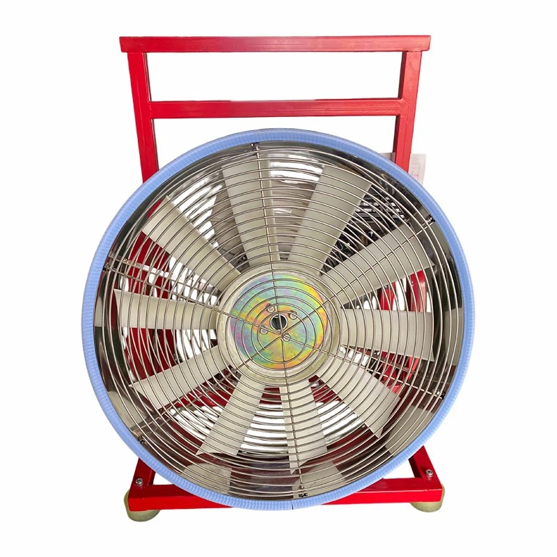 product-800-800
