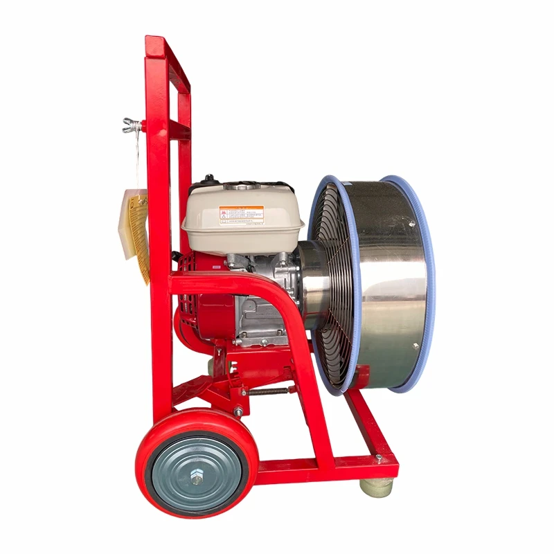 product-800-800 product-800-800